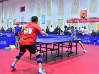 雷竞技-包含乒乓球杯赛掀起高潮，徽州雷豹队翻盘江南雄狮队，战至最后一刻——团队防守值得称道的词条