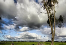 RAYBET-包含门兴格拉德巴赫发布备战花絮，清晨远射贴柱，法国杯任务艰巨，赛季目标并未改变的词条